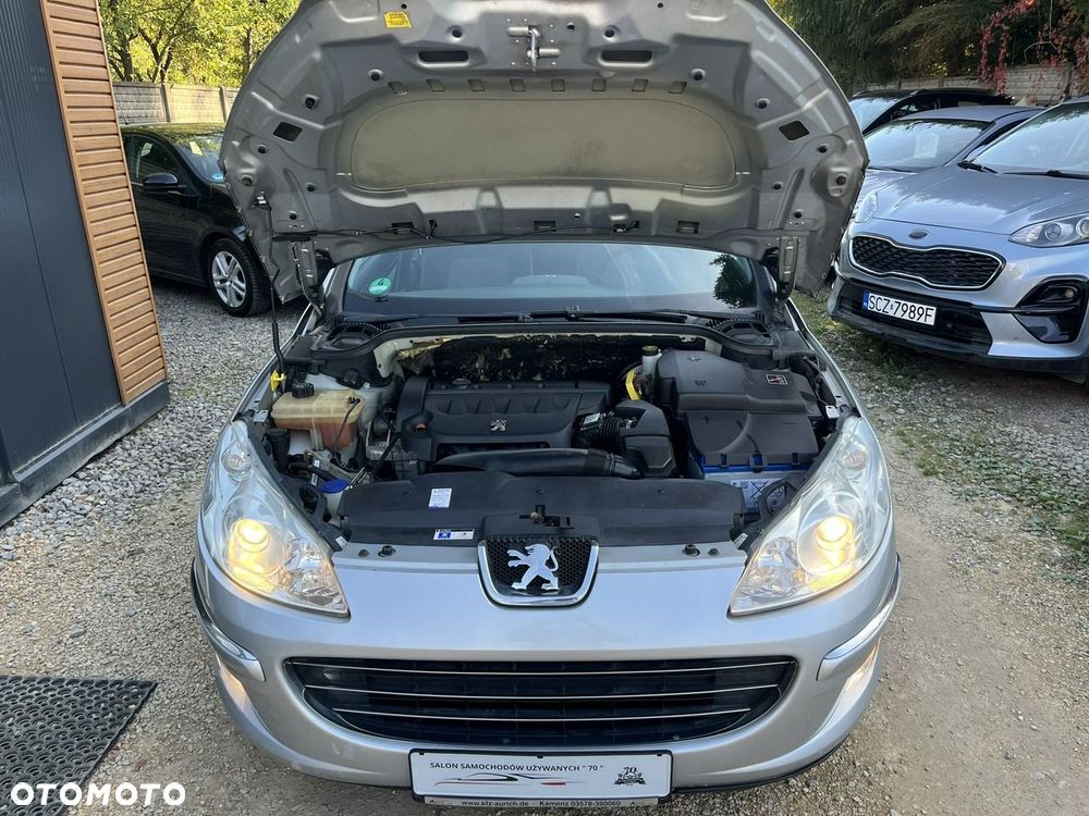 Peugeot 407 - 29