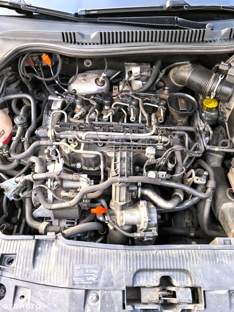 Seat Ibiza 1.6 TDI DPF Style - 14