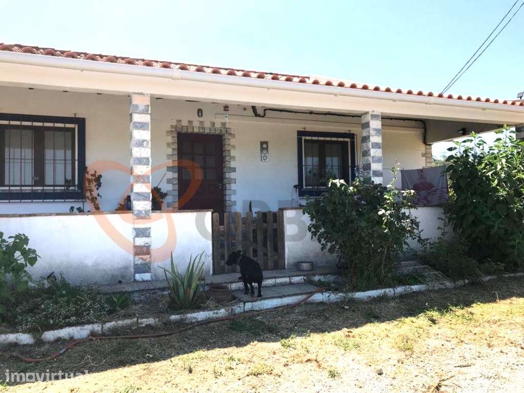 Fantástica Moradia situada na Vidigueira, Alentejo, Portugal - Grande imagem: 2/24