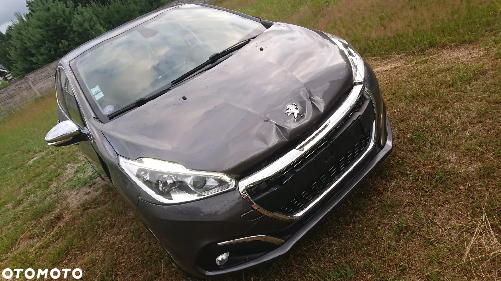 Peugeot 208 - 21