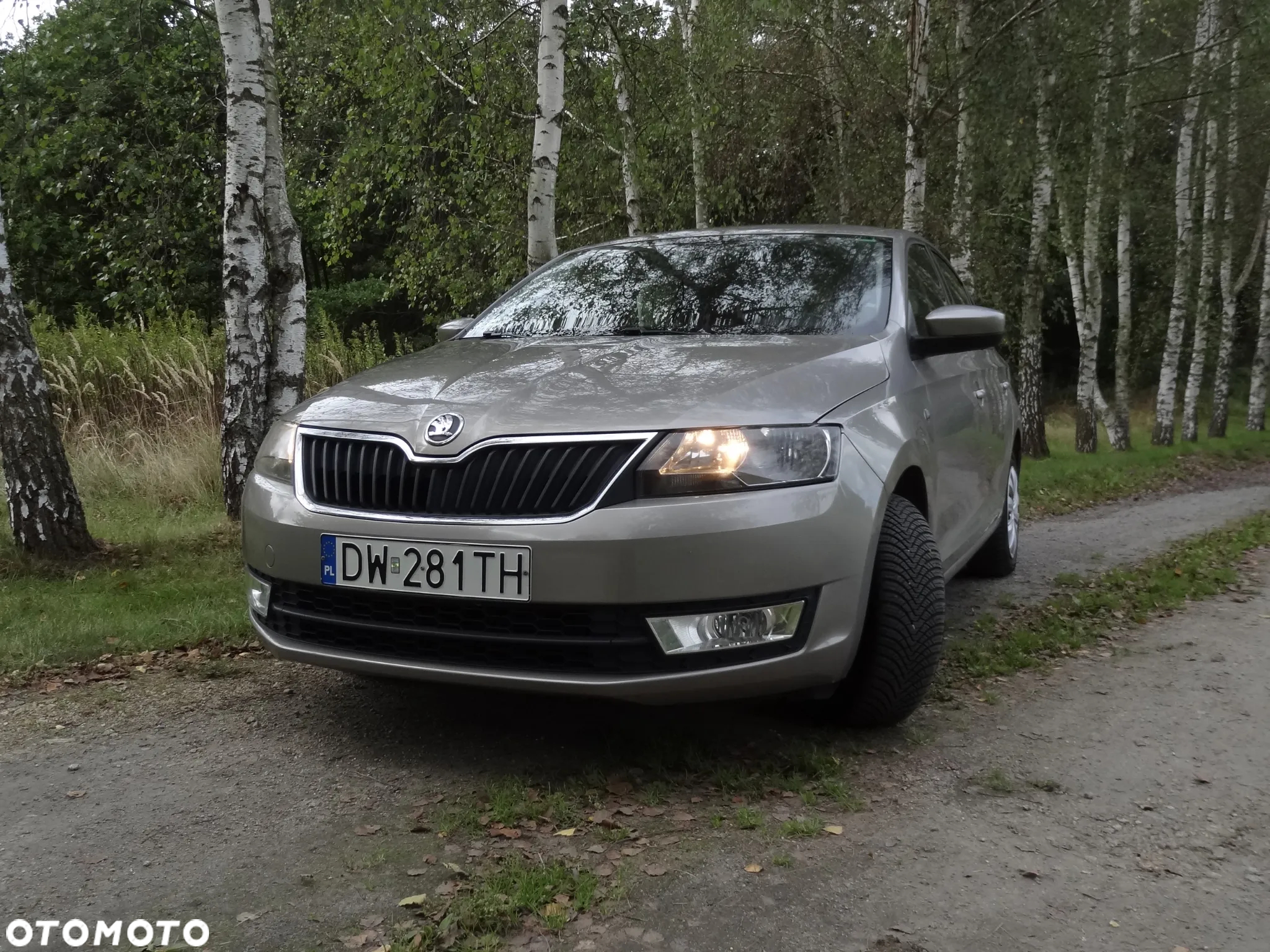 Skoda RAPID 1.2 TSI Active - 14