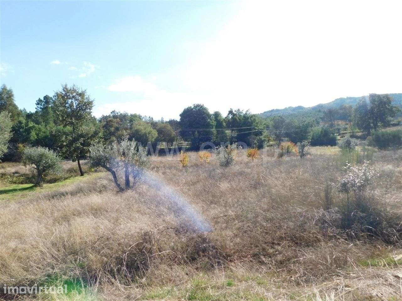 Terreno / Fundão, Quintas da Torre - Grande imagem: 2/2