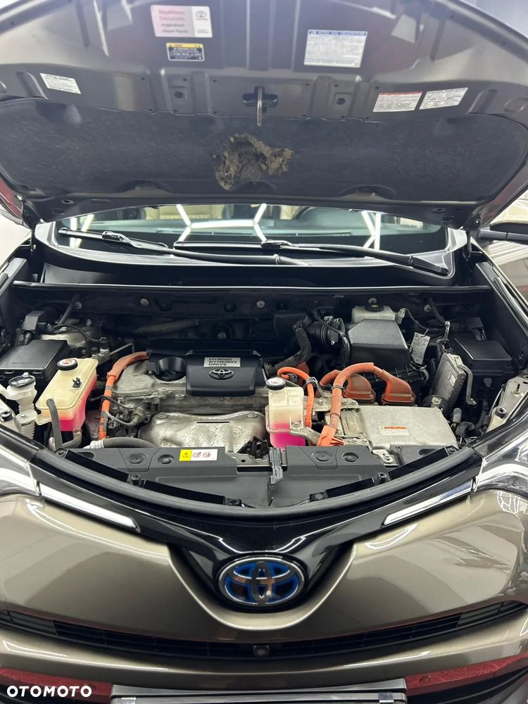 Toyota RAV4 Hybrid Prestige 4x2 - 4