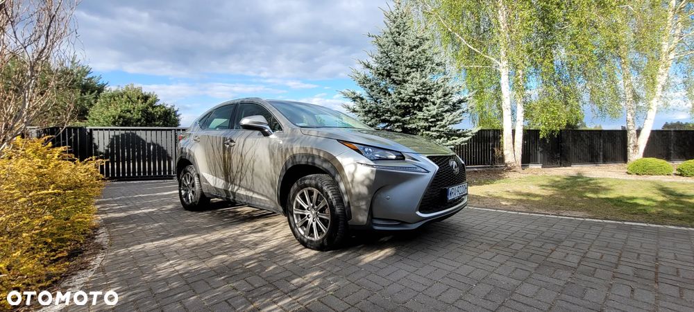 Lexus NX 300h Elite AWD - 3