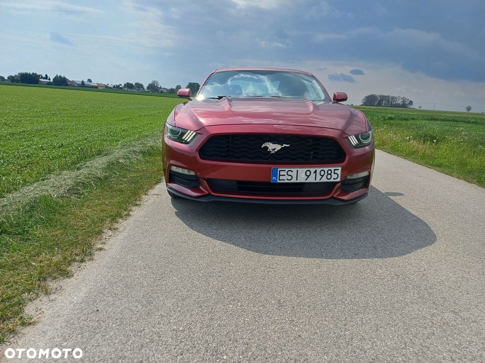 Ford Mustang 3.7 V6 - 3