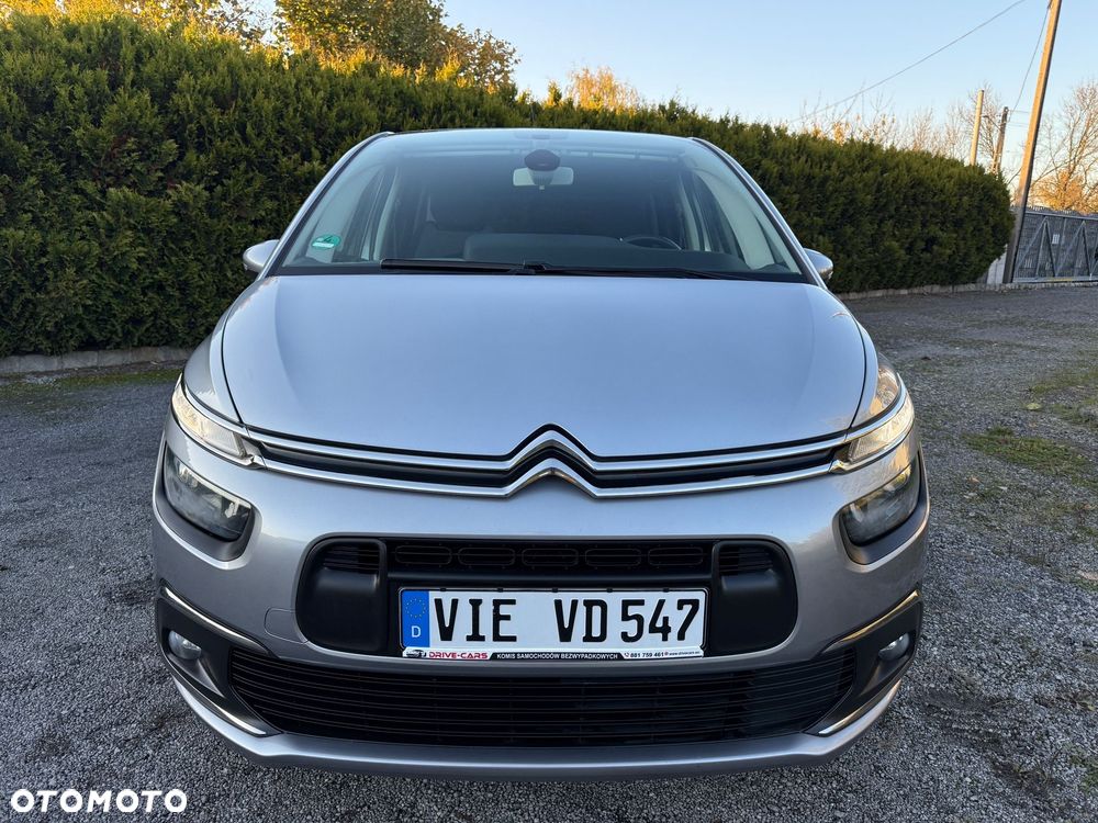 Citroën C4 SpaceTourer 1.5 BlueHDi Rip Curl S&S EAT8 - 21