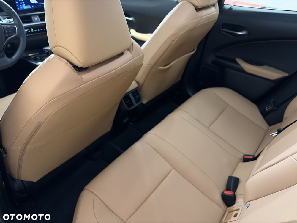 Lexus UX 250h GPF F Sport Design 2WD - 11