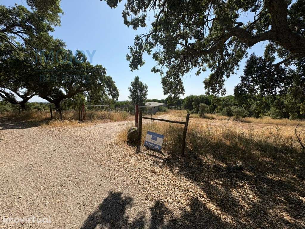 Fantástica Herdade na freguesia de Ninho de Açor e Sobral do Campo,... - Grande imagem: 2/14