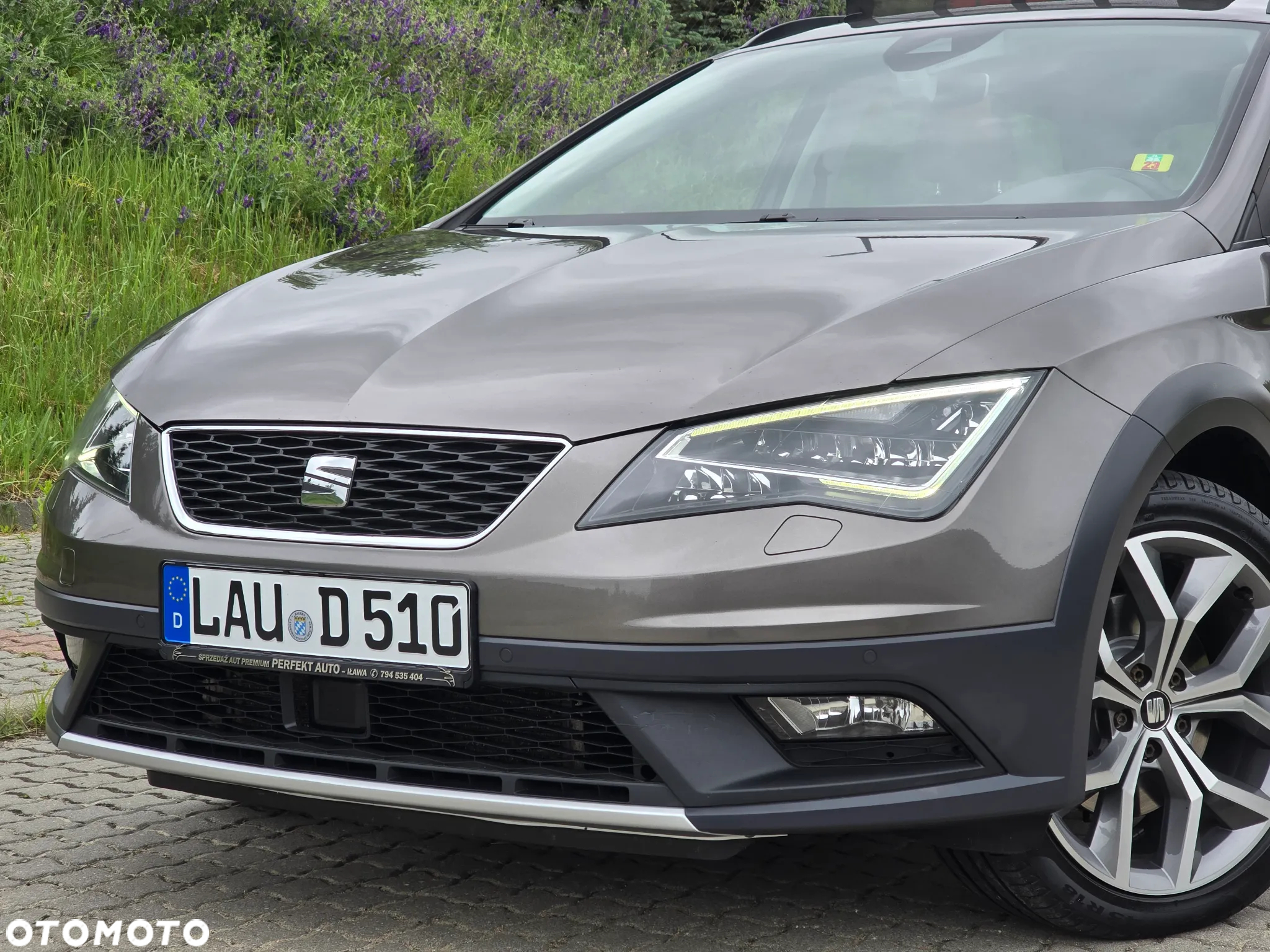 Seat Leon 2.0 TDI X-Perience S&S 4Drive DSG - 6