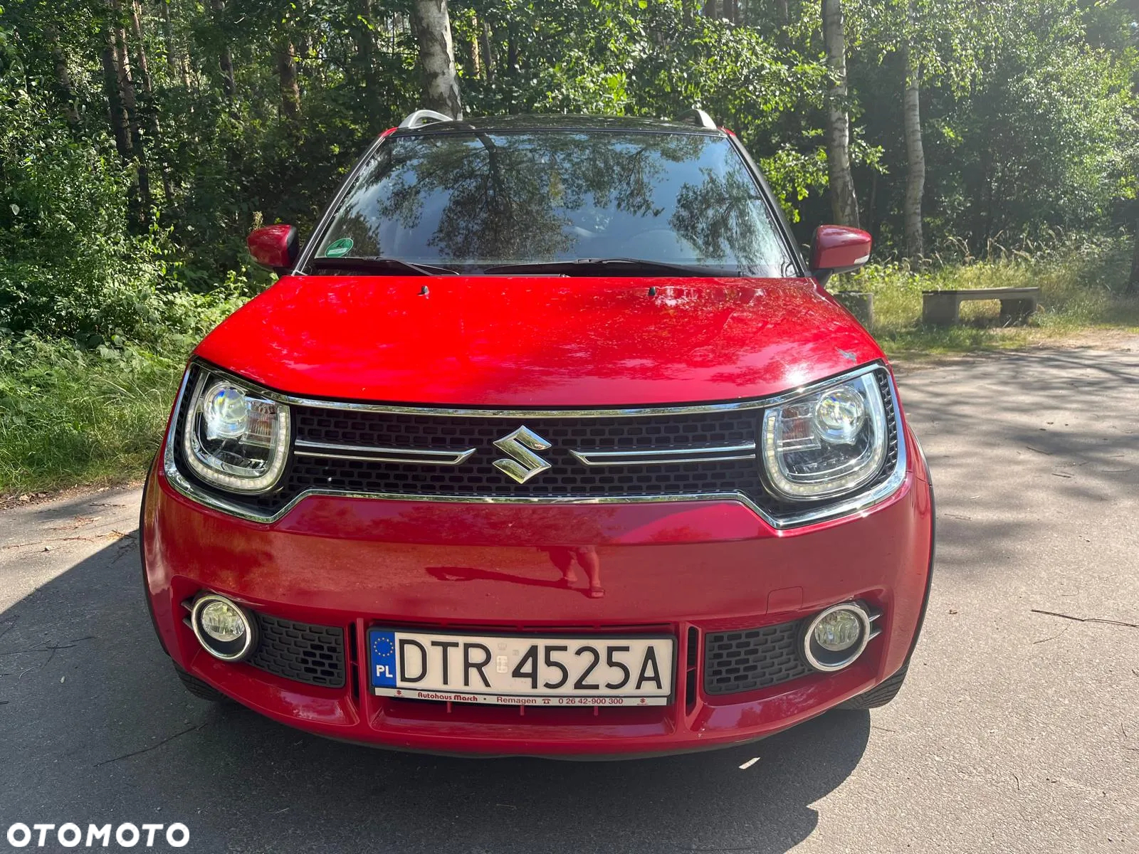 Suzuki Ignis - 20