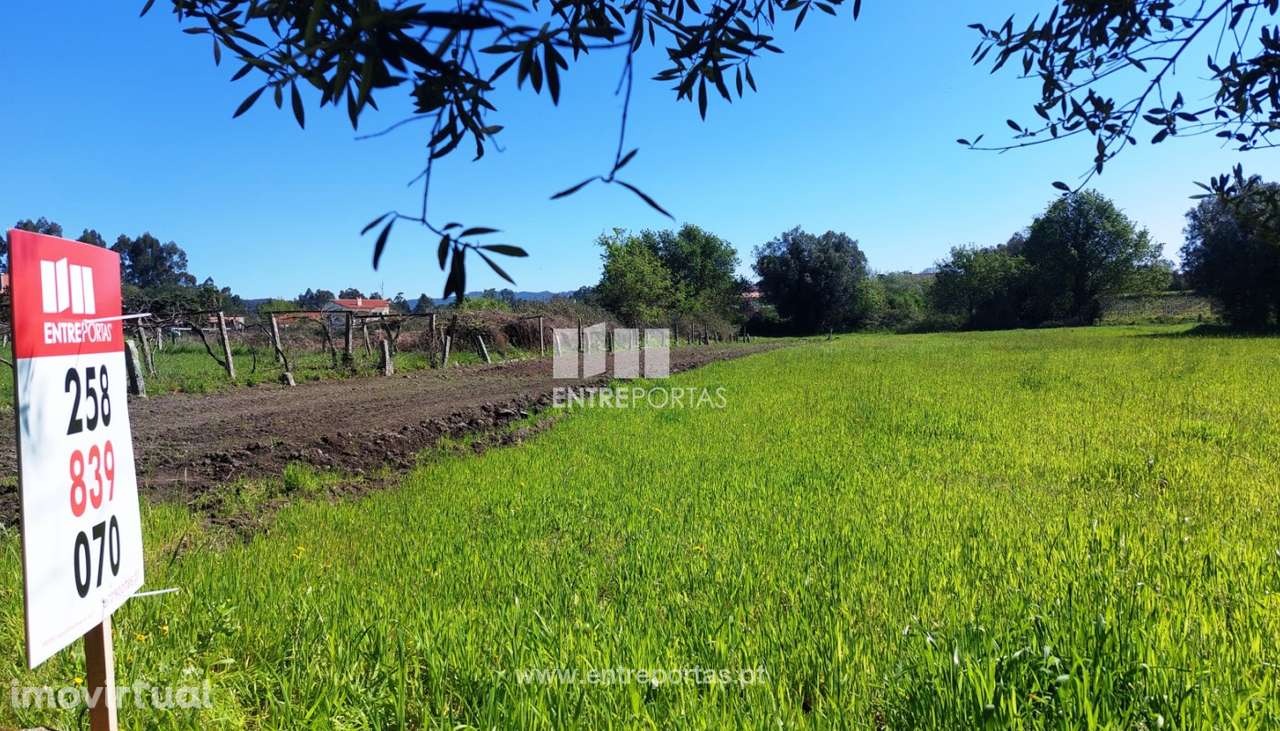 Venda de terreno agrícola, Alvarães, Viana do Castelo - Grande imagem: 2/14