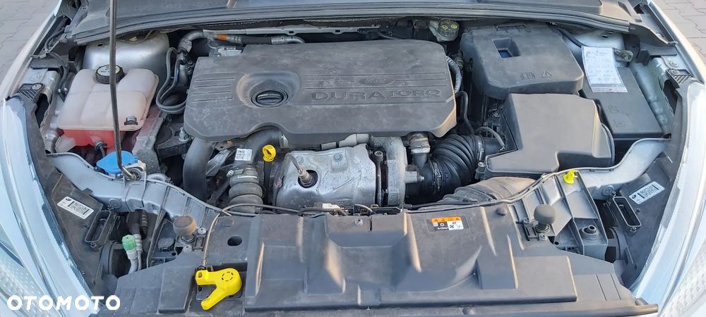 Ford Focus - 16