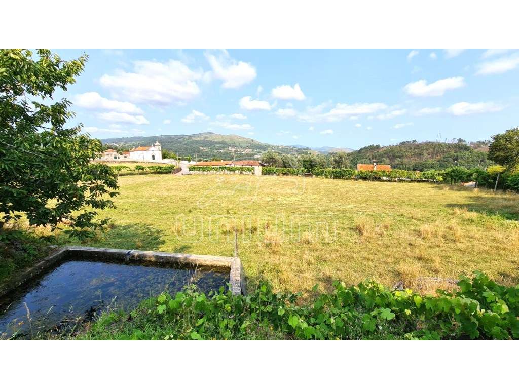 Terreno em Vade - Vila Verde - Grande imagem: 2/15