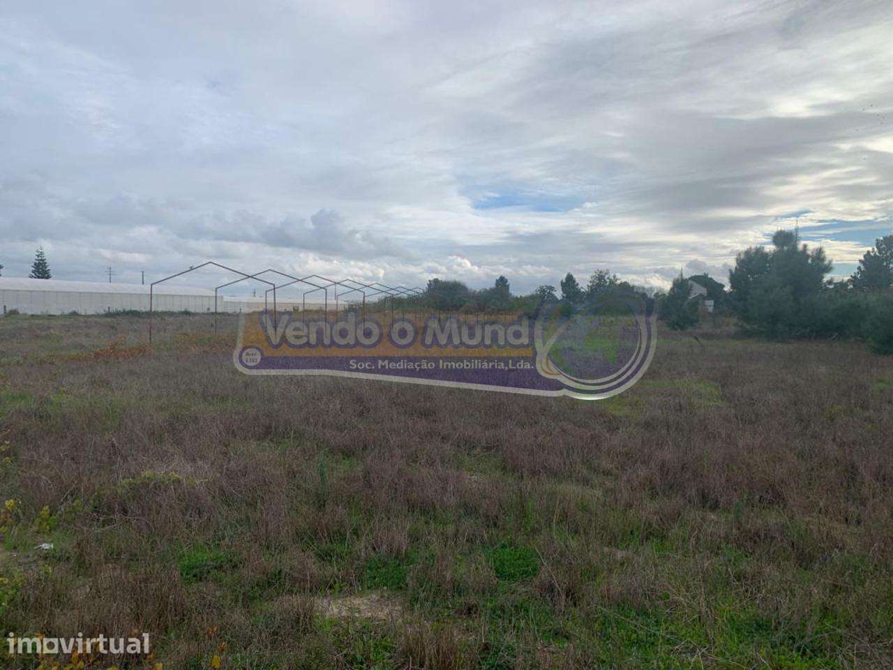 Terreno em Foros de Salvaterra (F758) - Grande imagem: 3/9