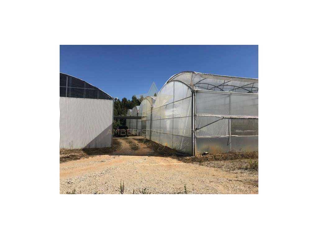 Terreno com estufa em Soure, Coimbra - Grande imagem: 3/20