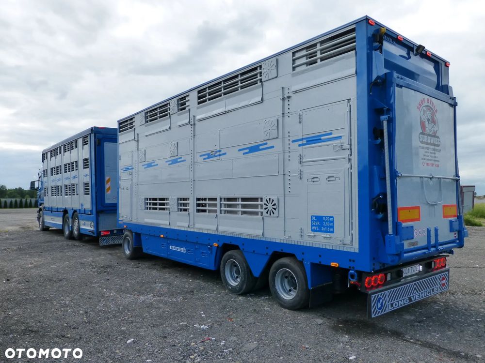 Scania R420 + PRZYCZEPA PEZZAIOLI / ZESTAW DO ŻYWCA, ZWIERZĄT, BYDŁA, TRZODY - 7