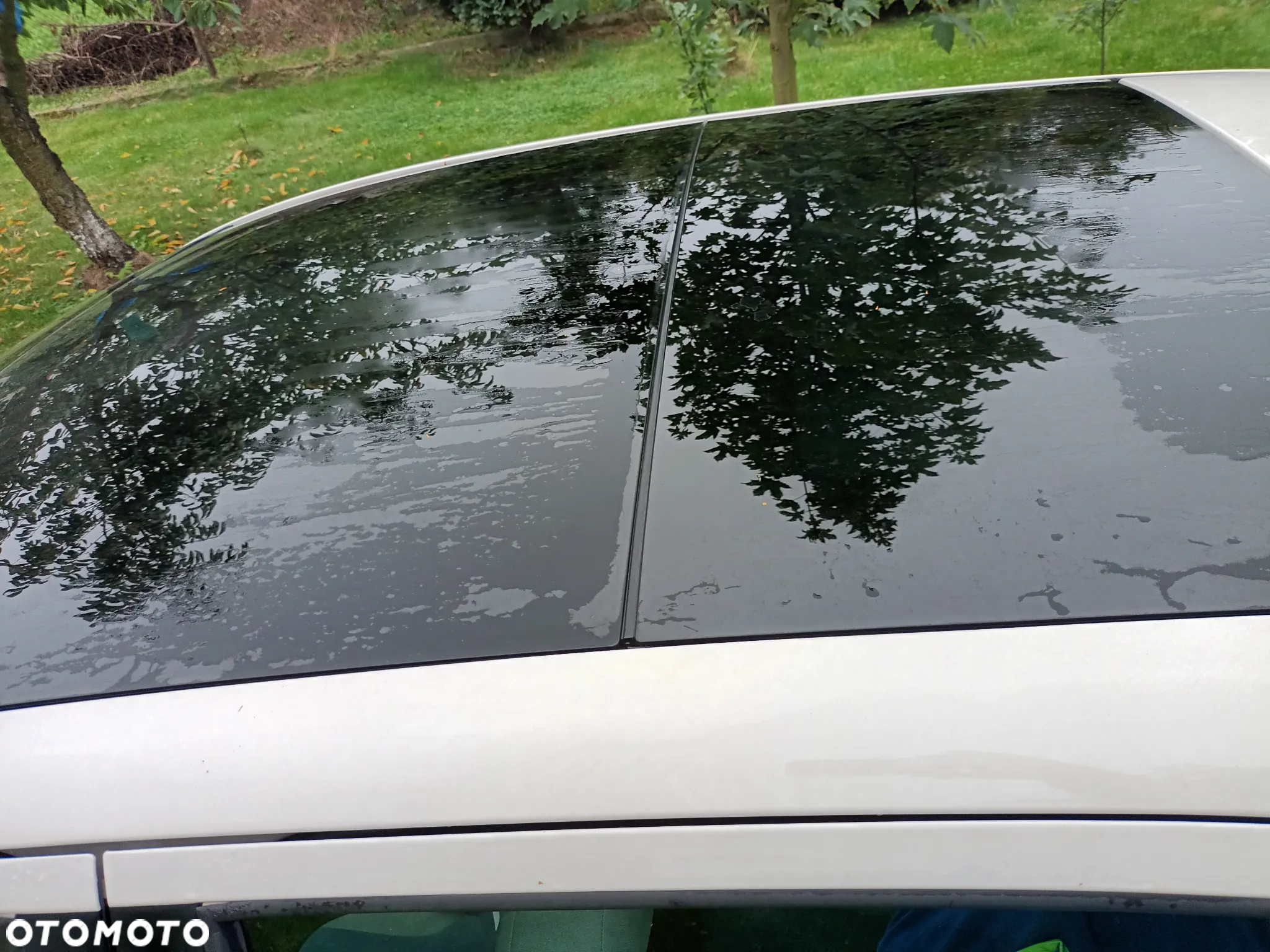 Fiat Panda - 5
