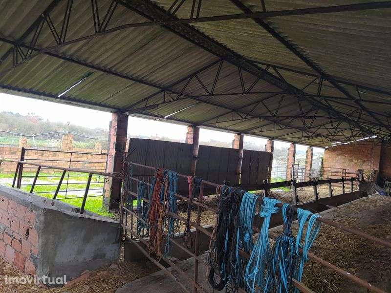 Vacaria com casa de habitação - Grande imagem: 5/8