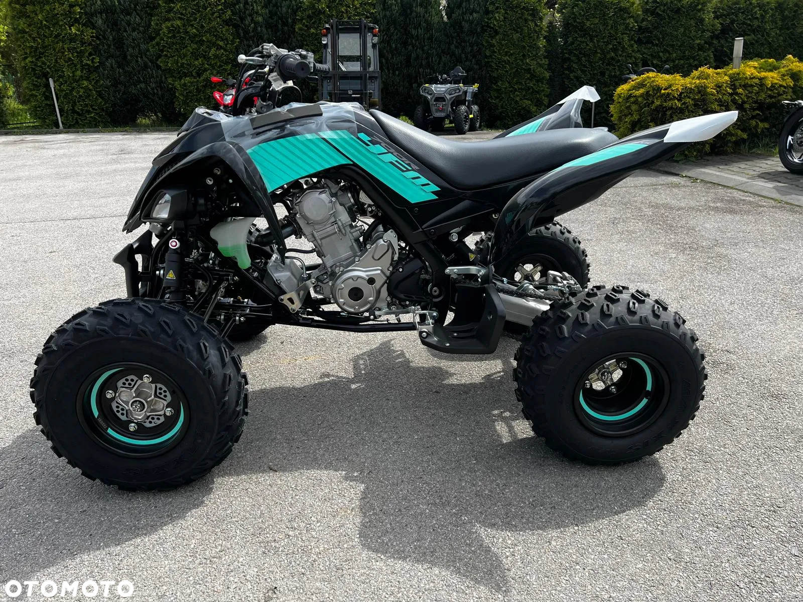 Yamaha Raptor - 13