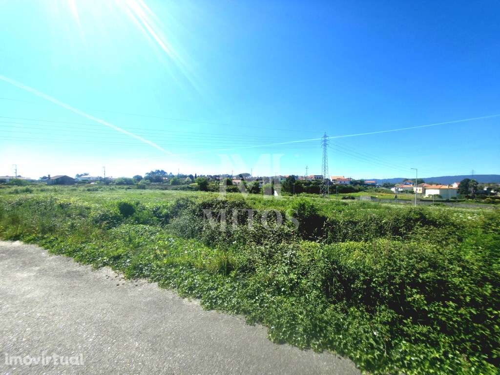Terreno de cultivo para venda em Vila Fria - Viana do Castelo - Grande imagem: 5/7