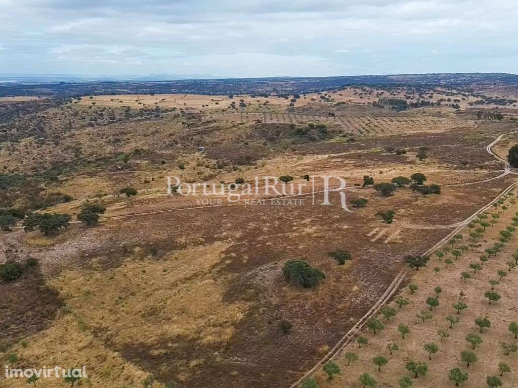 Propriedade agroflorestal com 39 hectares em Idanha-a-Nova - Grande imagem: 3/12