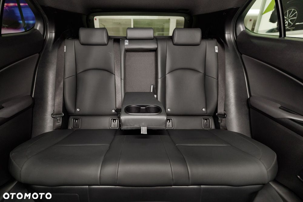 Lexus UX 250h GPF F Sport Design 2WD - 17
