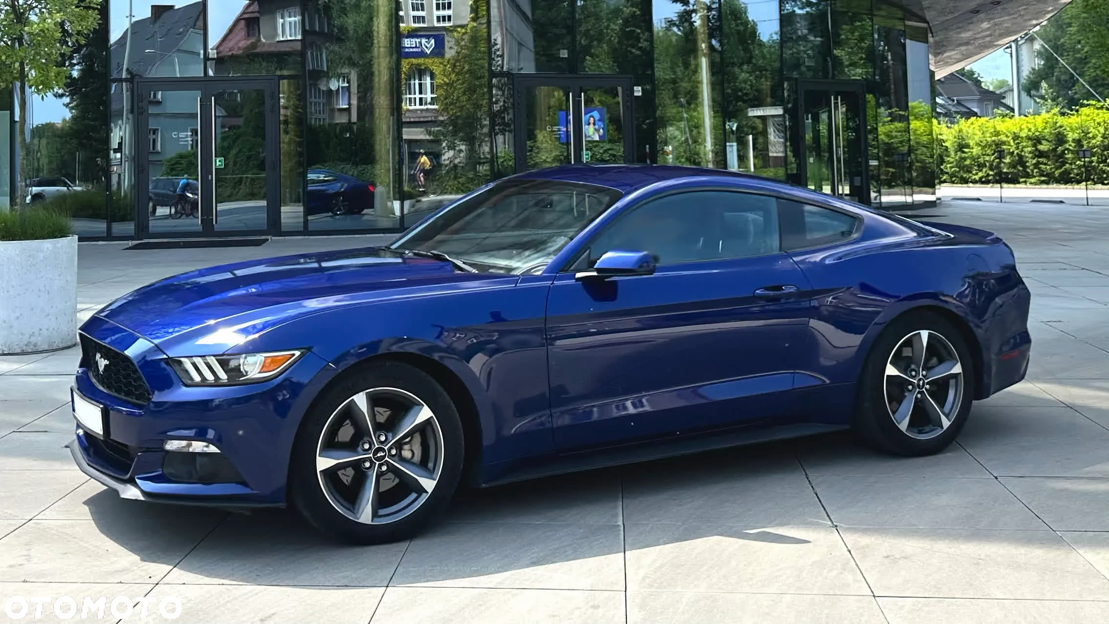 Ford Mustang 3.7 V6 - 3