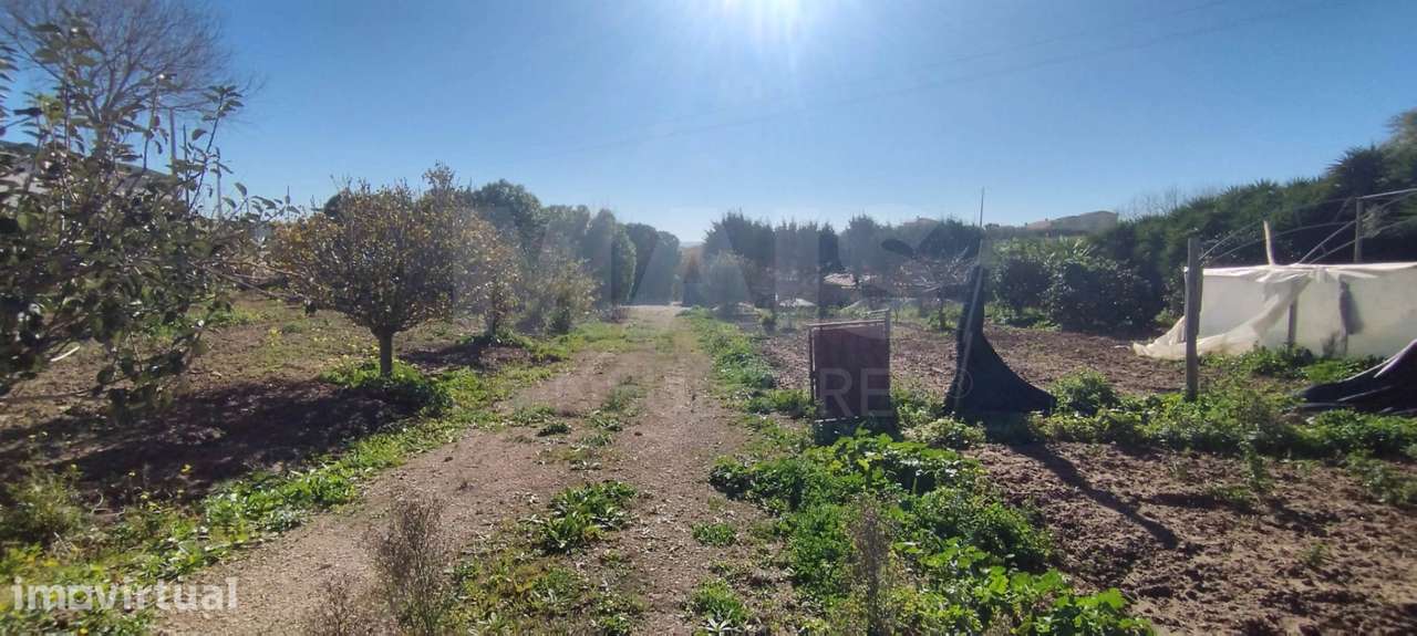 Terreno para Moradia T4 com Projeto Aprovado e Anexos | Lourinhã - Grande imagem: 2/16