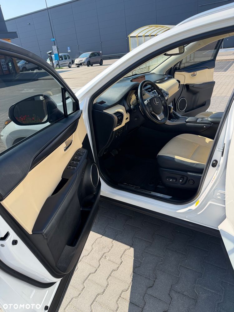 Lexus NX 300 Business Edition AWD - 10