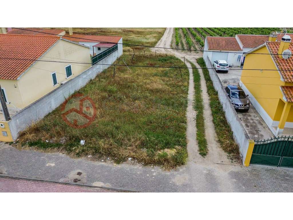 Moradia T3 Isolada Térrea com Telheiro e Garagem em Muge, Salvaterr... - Grande imagem: 4/28
