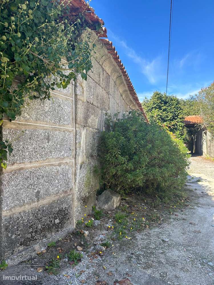 Moradia para restauro em Ribeiros - Grande imagem: 4/16