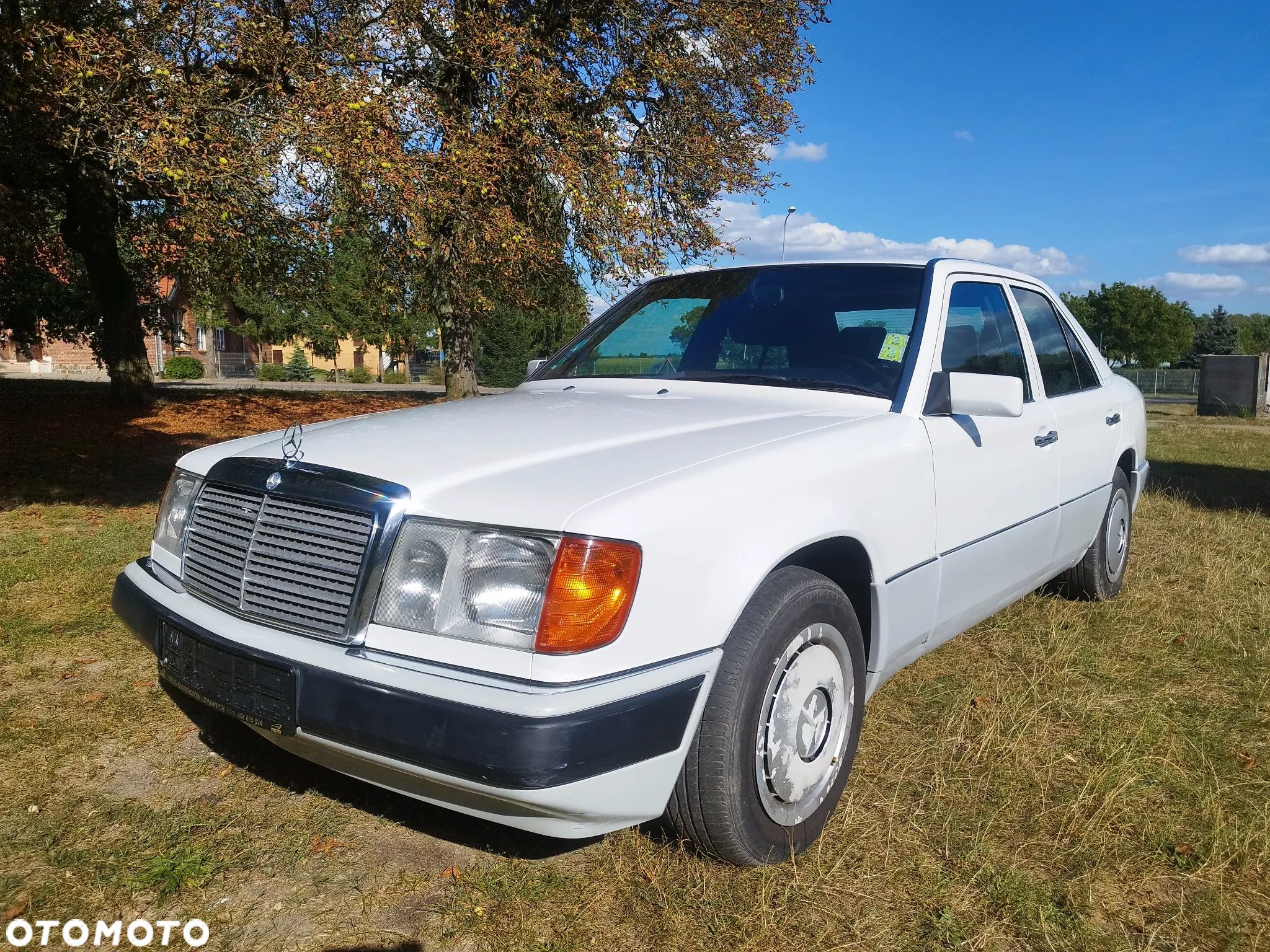 Mercedes-Benz W124 (1984-1993) - 1