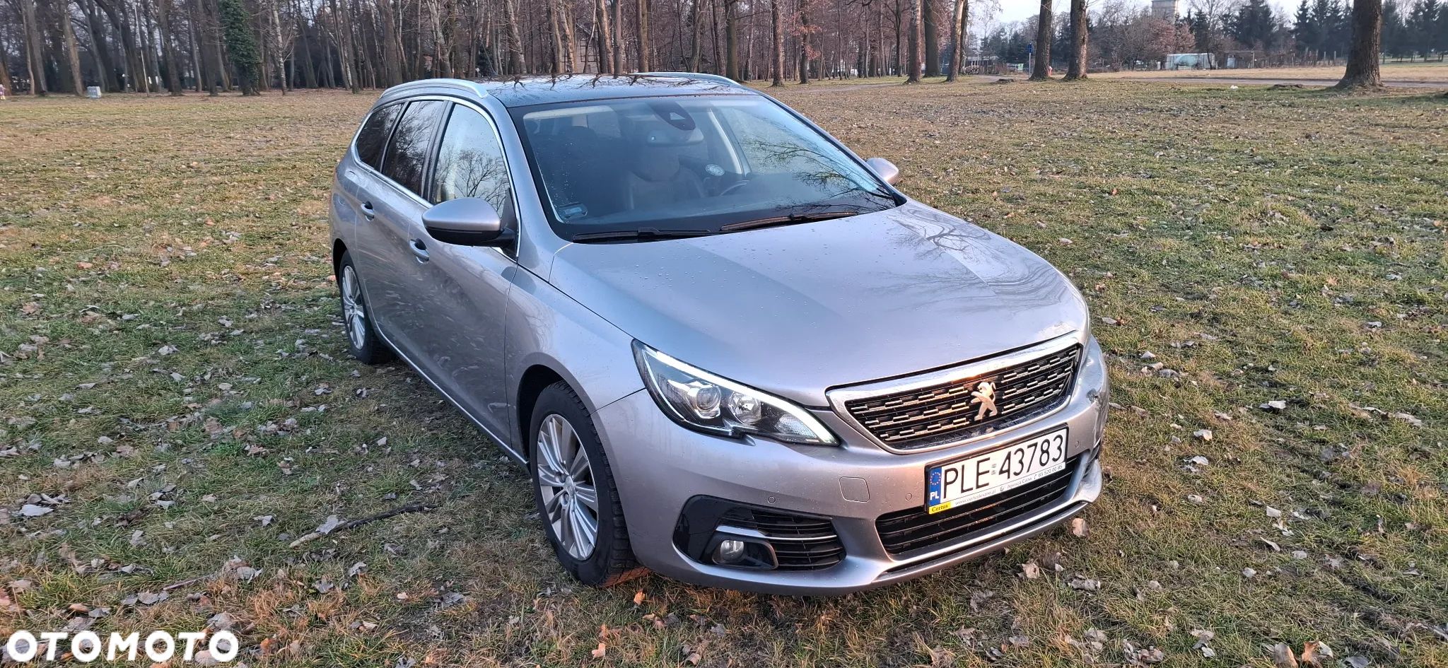 Peugeot 308 BlueHDi FAP 120 Stop & Start Active - 1