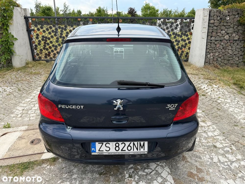 Peugeot 307 HDi 90 Filou - 15
