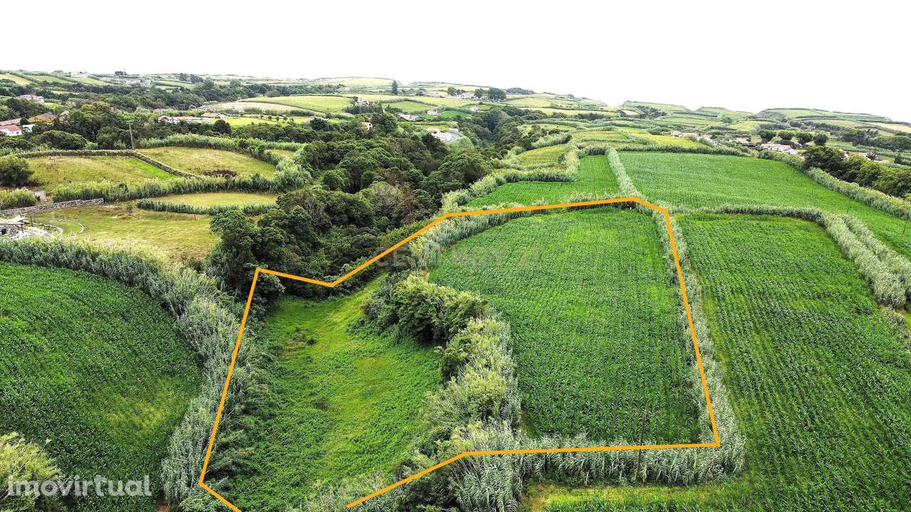 Terreno com Viabilidade de Construção, nos Ginetes - Grande imagem: 3/5