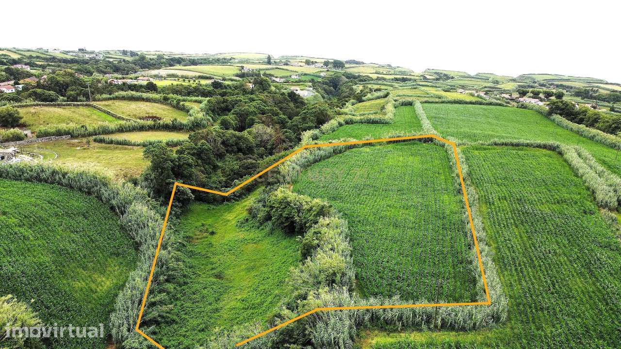 Terreno com Viabilidade de Construção, nos Ginetes - Grande imagem: 3/5