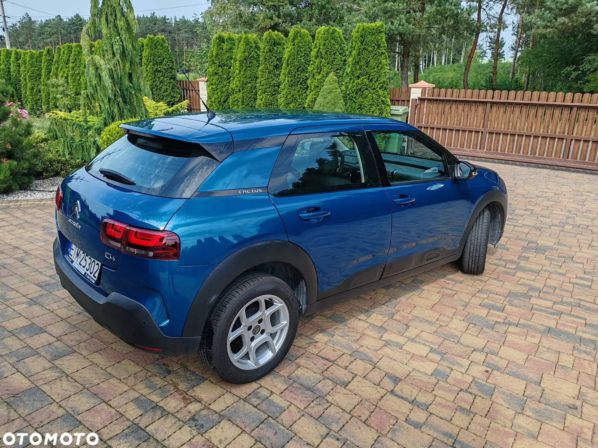 Citroën C4 Cactus 1.2 PureTech Feel S&S - 9