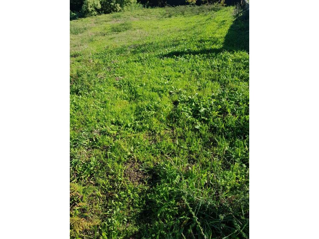 Terreno para Construção - Grande imagem: 5/24