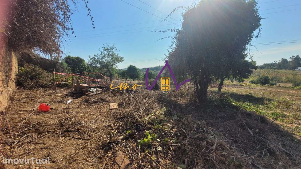 Moradia para reconstruir na Vacariça - Grande imagem: 3/13