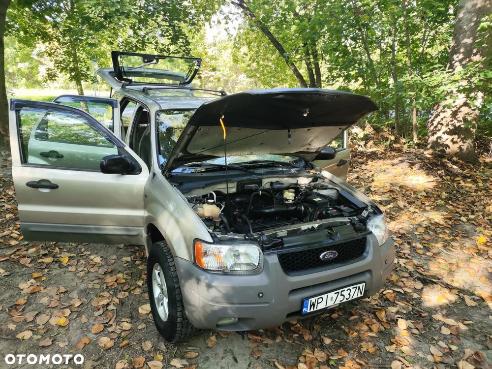 Ford Escape - 23