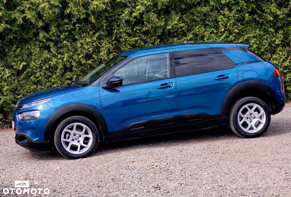 Citroën C4 Cactus - 21