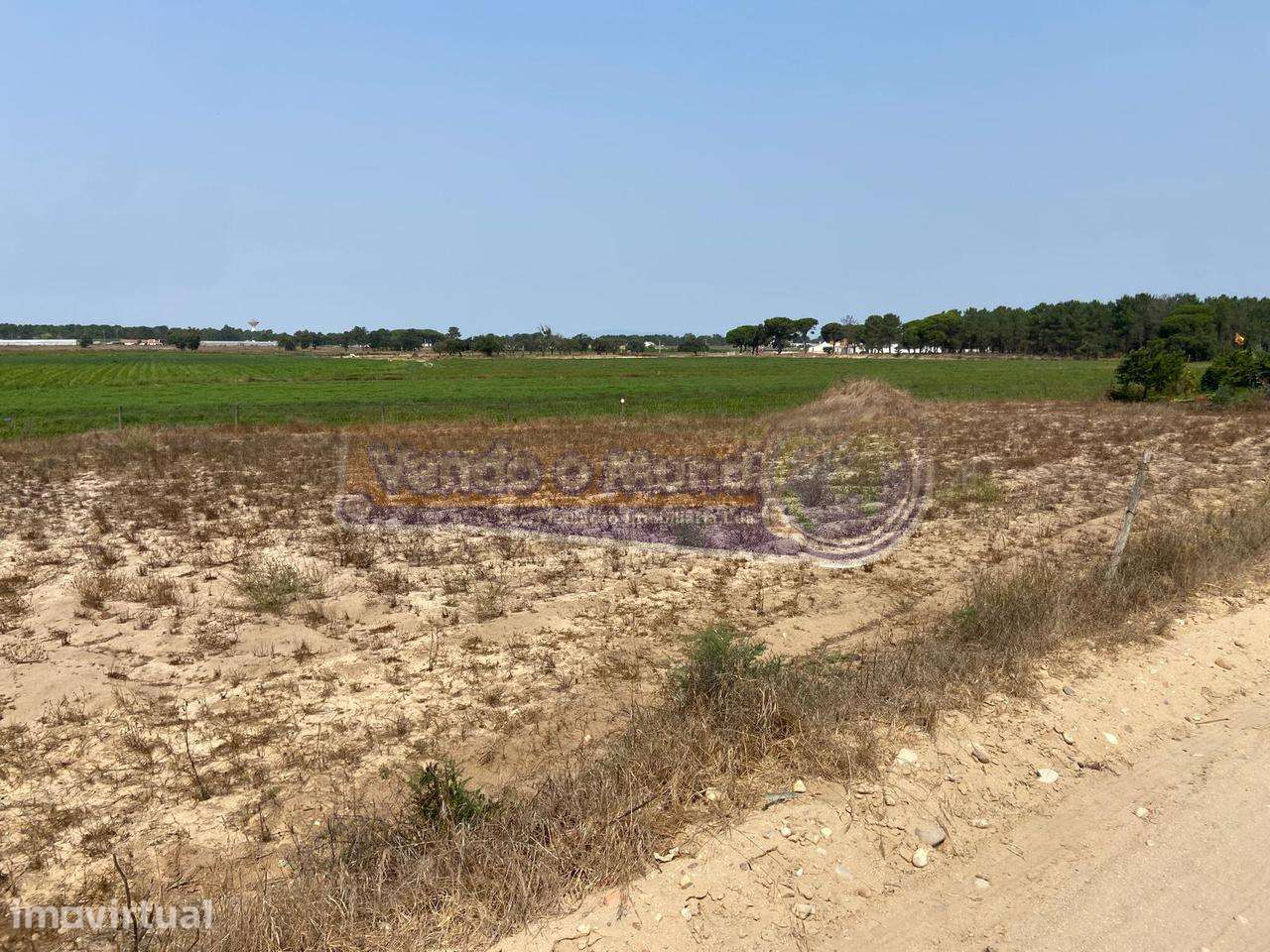 Terreno em Foros de Salvaterra (F844) - Grande imagem: 3/6