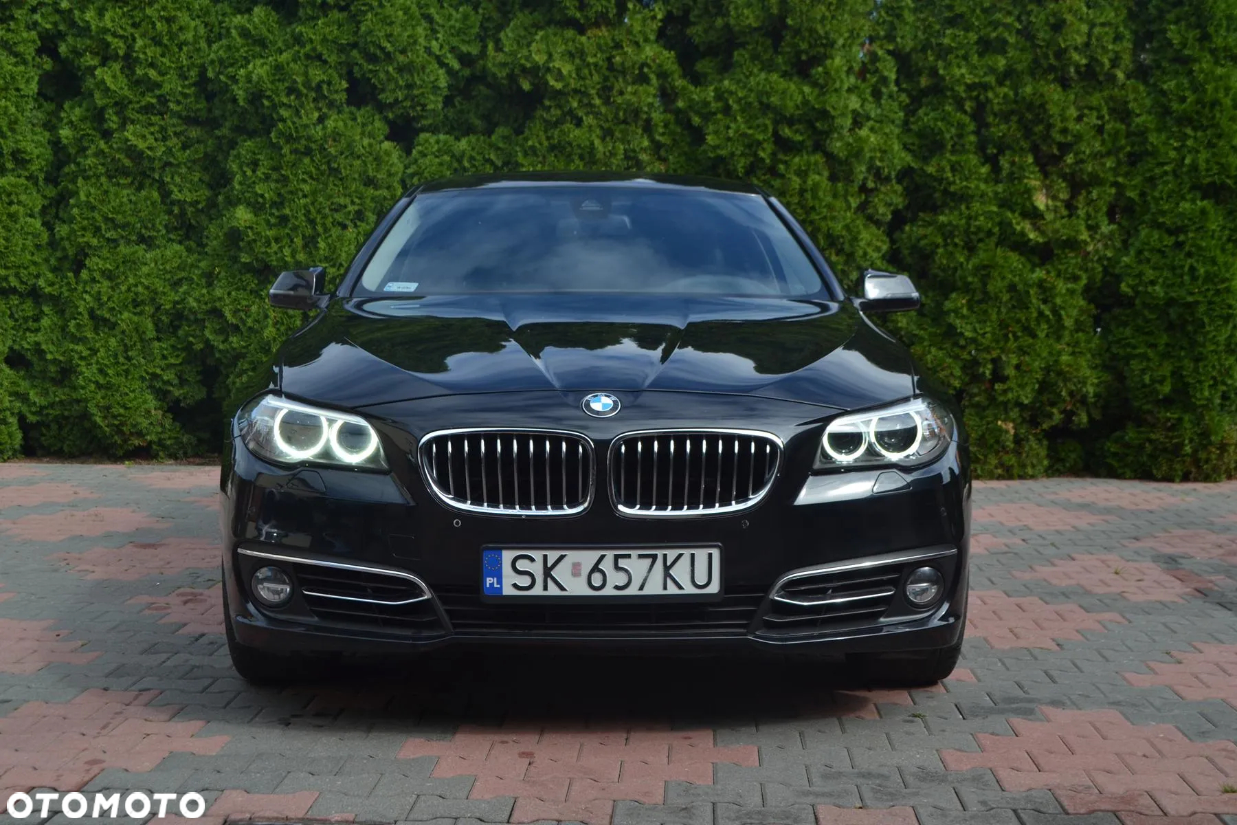 BMW Seria 5 520d xDrive Luxury Line - 9
