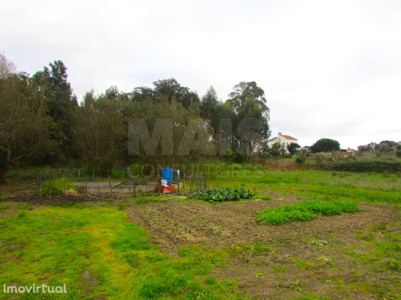Terreno Misto - 1ha - Torres Vedras - Ramalhal - Grande imagem: 2/7