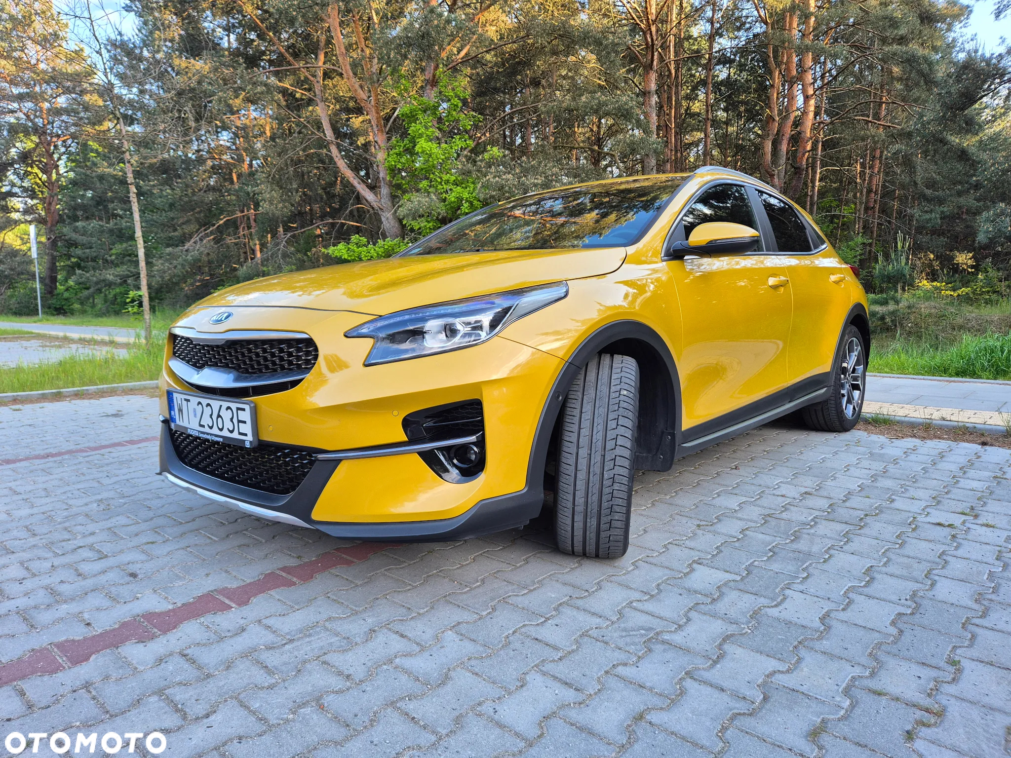 Kia XCeed 1.5 T-GDI L Business Line DCT - 2