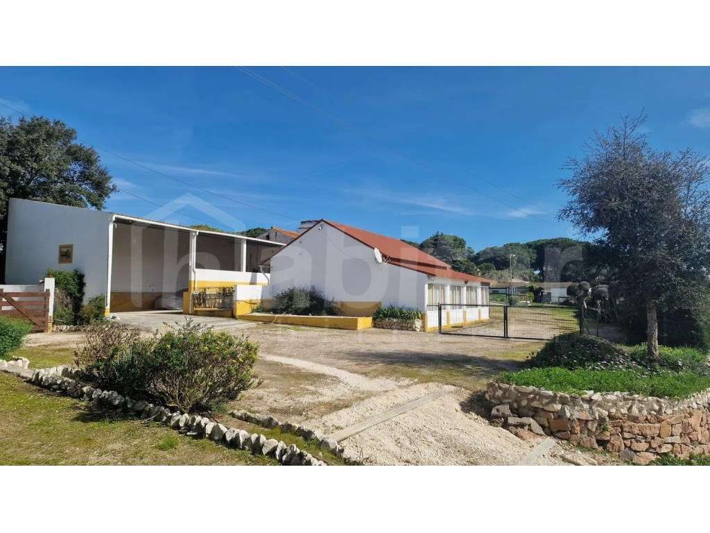 Quinta Equestre com 16 Boxes, Picadeiro e 1,41 ha em Santo Estêvão. - Grande imagem: 3/16