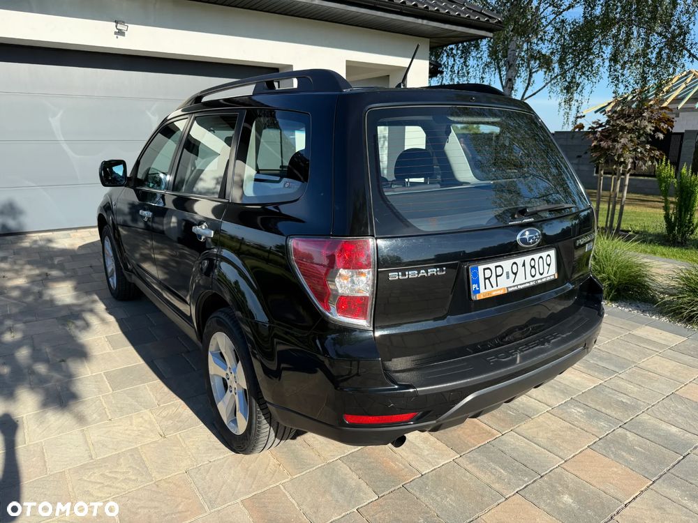 Subaru Forester - 7