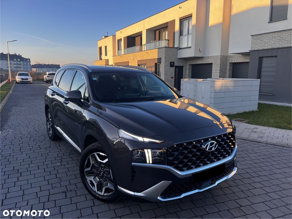 Hyundai Santa Fe - 29