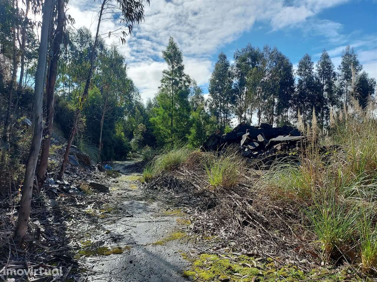 Terreno na Zona Industrial das Mimosas - Grande imagem: 5/16