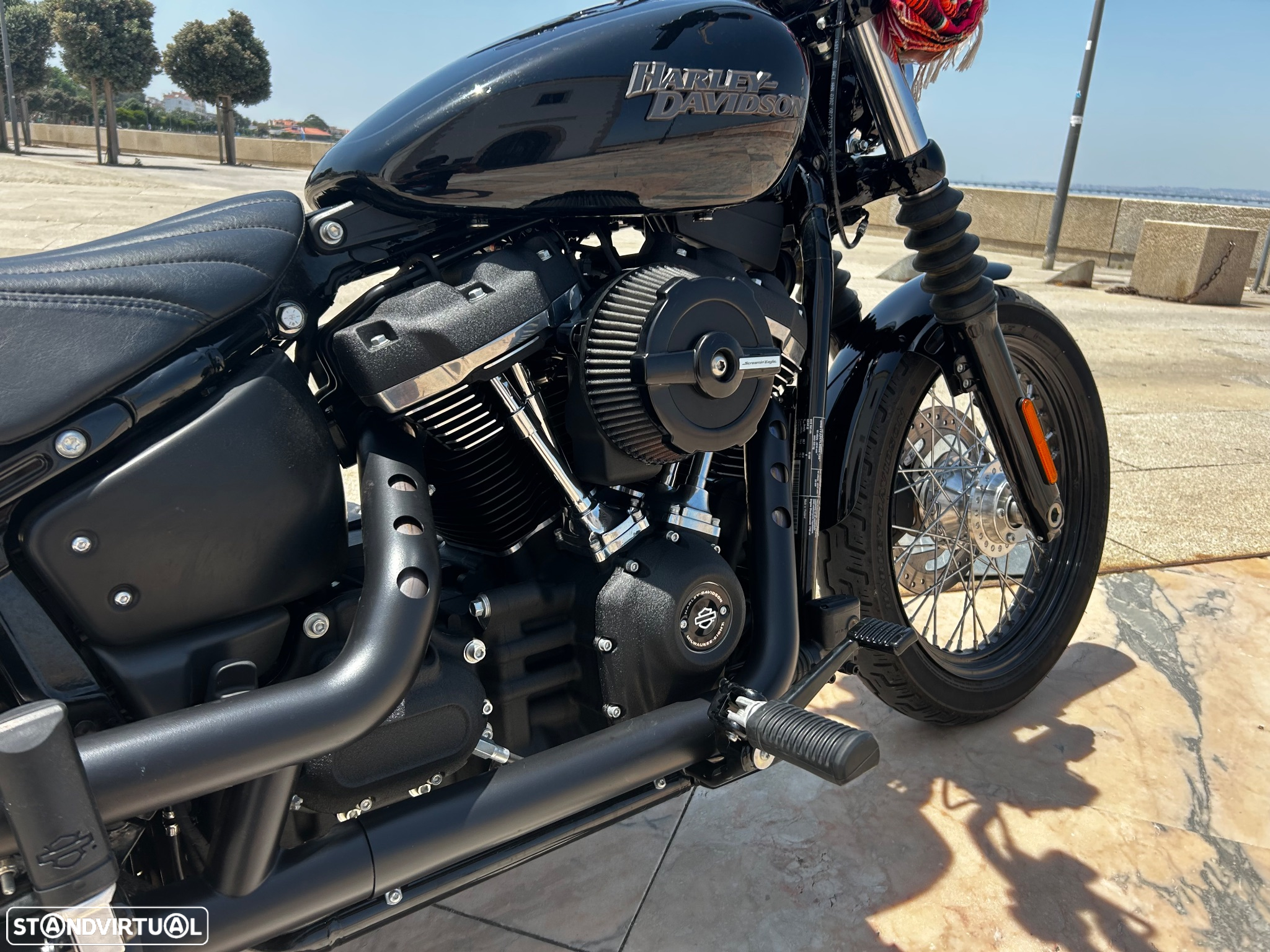 Harley-Davidson Softail Street Bob 2020 - 20